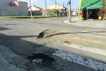 Buracos são alvos de reclamação na rua Jose Vicente Pedreira