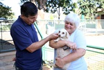 A proprietária Myrian Vendemiatti cuida de 45 cachorros que foram retirados da rua. 
