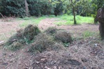 Retirada de entulho em área verde contempla demanda do Parque Peória - Antes