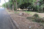 Retirada de entulho em área verde contempla demanda do Parque Peória - Antes