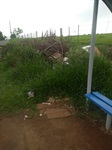 Ponto de ônibus da avenida Nair Azzi Pitta, próximo a residência de número 141, no bairro Mario Dedini 