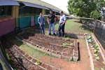 Horta comunitária escolar