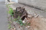 Kawai solicita a construção de calçada no Nova Piracicaba, a fim de evitar acidentes com pedestres