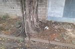 Kawai solicita a construção de calçada no Nova Piracicaba, a fim de evitar acidentes com pedestres