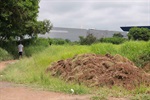 Área está localizada no bairro Novo Horizonte