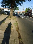 Rua do Corcovado
