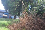 Vereador Gilmar Rotta pede reforma e limpeza urgente na Farmácia Municipal do bairro Cecap