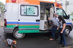 Atualmente, há cerca de 50 cães e 60 gatos no Núcleo de Bem-Estar Animal aguardando para serem adotado