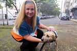 Atualmente, há cerca de 50 cães e 60 gatos no Núcleo de Bem-Estar Animal aguardando para serem adotado