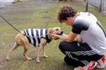 Atualmente, há cerca de 50 cães e 60 gatos no Núcleo de Bem-Estar Animal aguardando para serem adotado