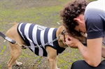 Atualmente, há cerca de 50 cães e 60 gatos no Núcleo de Bem-Estar Animal aguardando para serem adotado
