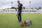 Quem doar um quilo de ração receberá desconto de 50% na compra do ingresso