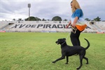 Quem doar um quilo de ração receberá desconto de 50% na compra do ingresso