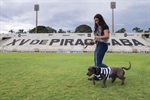 Quem doar um quilo de ração receberá desconto de 50% na compra do ingresso