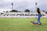 Quem doar um quilo de ração receberá desconto de 50% na compra do ingresso