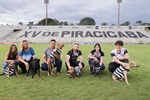 Quem doar um quilo de ração receberá desconto de 50% na compra do ingresso