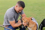 Kenai, Bambu, Brad, Soldado, Denver e Gui foram os seis cachorros escalados pelo Núcleo para estimular a adoção