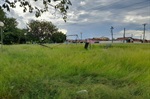 Corte de mato em área verde é solicitada em Santa Teresinha