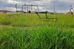 Corte de mato em área verde é solicitada em Santa Teresinha