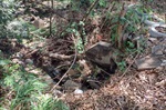 Moradores do Jardim Monumento temem que melhorias sejam desfeitas em área pública