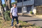 Vereador acompanha trabalho de poda de árvore no bairro Eldorado