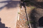 Vereador foca melhorias no Areninhas do Campestre