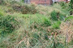 Área verde com mato alto no bairro castelinho