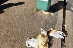 vereador Pedro Kawai protocolou cinco indicações ao Executivo solicitando melhorias na Praça Takaki