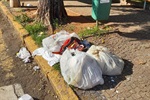 vereador Pedro Kawai protocolou cinco indicações ao Executivo solicitando melhorias na Praça Takaki