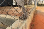 Vereador reforça reivindicações de moradores por reforma geral no campo do Cecap