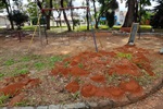 Vereador solicita limpeza e controle de pragas em parque infantil do Alvorada