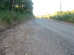 Moradores dos bairros reivindicam melhoria na estrada no bairro Congonhal