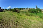 Área verde de 20 mil metros quadrados abriga nascente no Jardim Costa Rica