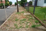 Calçamento a calçada foi retirado após sofrer danos com raízes de árvores