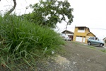 Longatto defende recuperação de áreas verdes em Santa Teresinha