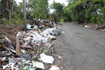 Acesso ao Jardim Costa Rica apresenta mato alto e acúmulo irregular de lixo