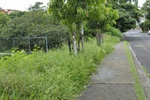 Área verde poderia comportar pista de caminhada, sugerem moradores