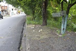 Limpeza de área verde na rua Zulmira Ferreira do Vale será solicitada