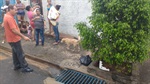 Chuvas afetam a rotina e trazem transtornos no Jaraguá