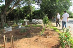 Antigo lixão foi transformado em jardim por morador