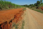 Fotos revelam péssimas condições das estradas rurais