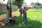Gilmar Rotta acompanha revitalização de área verde no bairro Eldorado