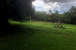 Foto mostra como ficou a área verde após o pedido de Coronel Adriana ser atendido