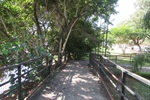 Sedema realiza poda de árvores em passarela da avenida Beira Rio