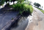 Corte de mato no Parque Piracicaba será solicitado por Dirceu