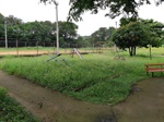 Área verde ao lado da creche Profº Janaina Elaine de Castro, na rua Carapicuíba, precisa de capinação