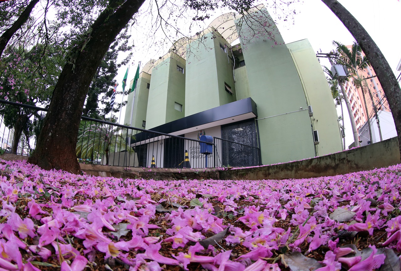 Prêmio Chico Mendes mira ações em favor da natureza, na semana do meio ambiente