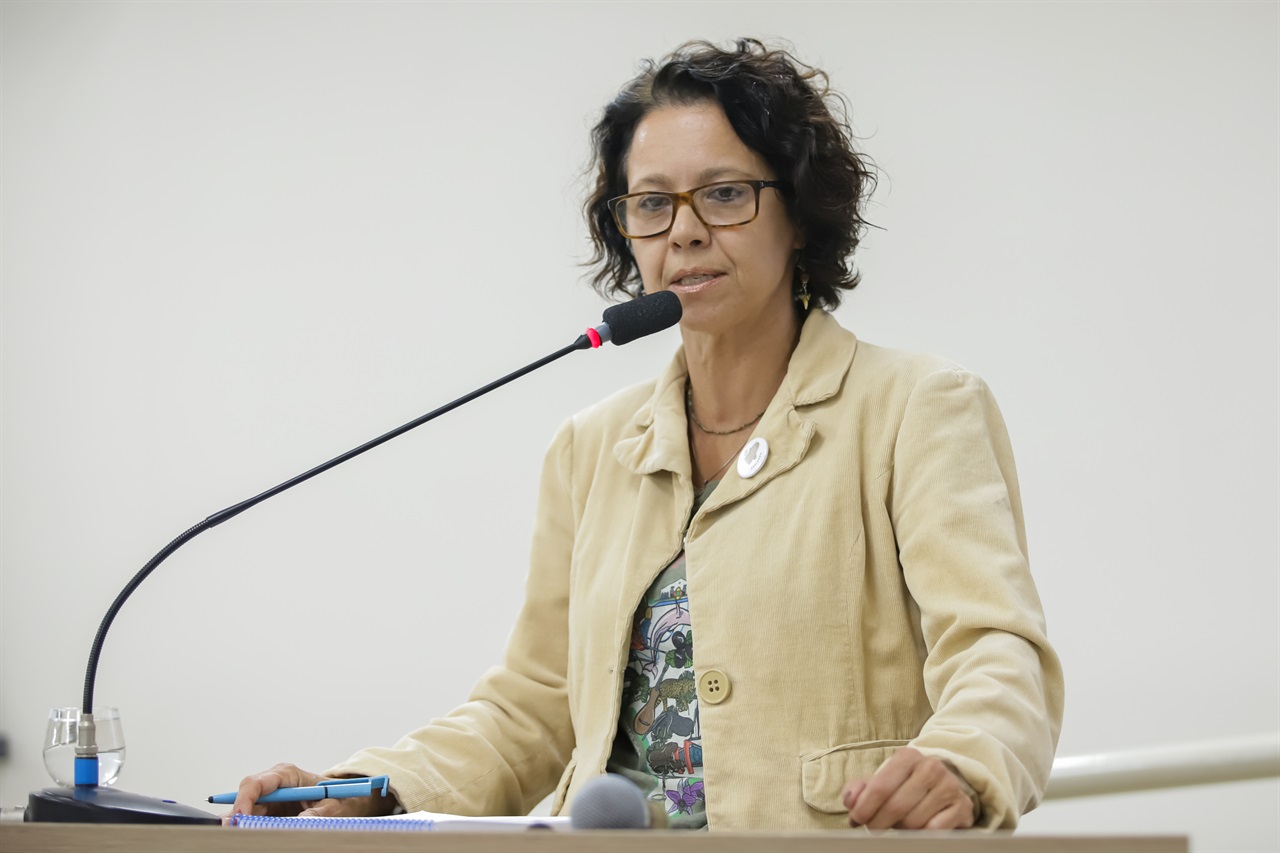 Vereadora destaca discussão sobre energia solar em Frente Parlamentar